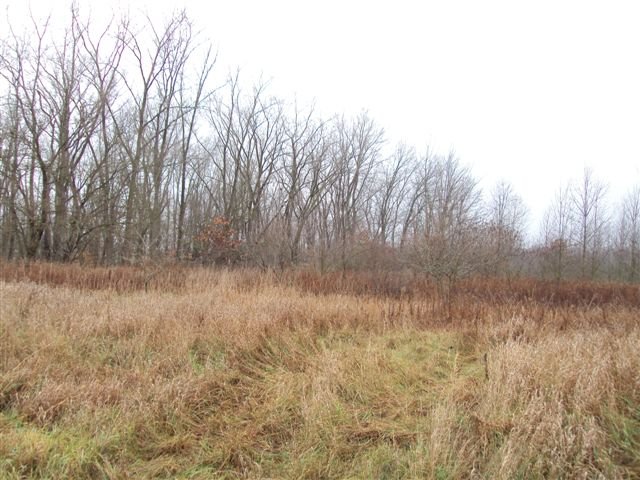 Property photo 1 - 62.7 Acres in 2 Tracts - Recreation and Potential Building Sites
